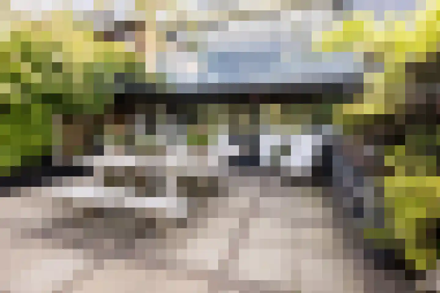 Rottekade 88 Bergschenhoek thumbnail 43