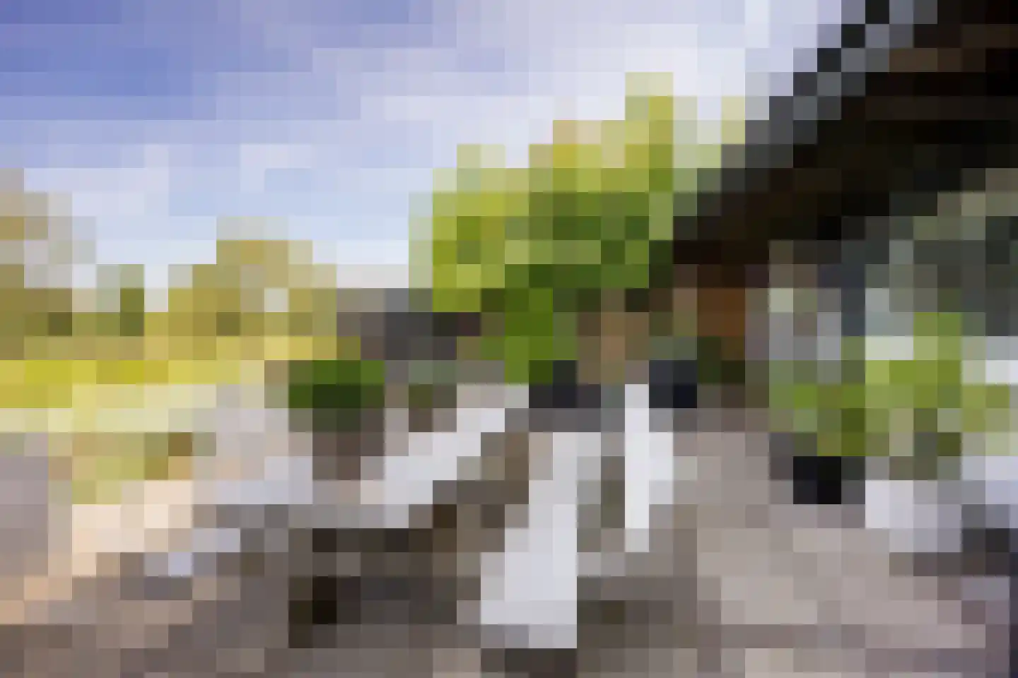 Rottekade 88 Bergschenhoek thumbnail 44