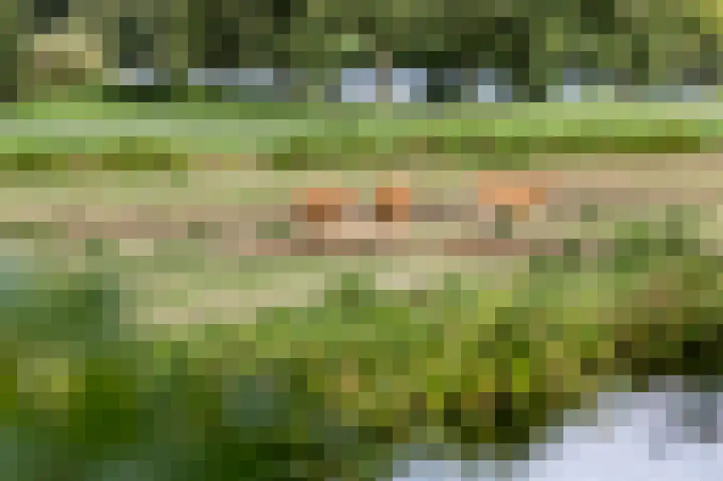 Rottekade 88 Bergschenhoek thumbnail 46