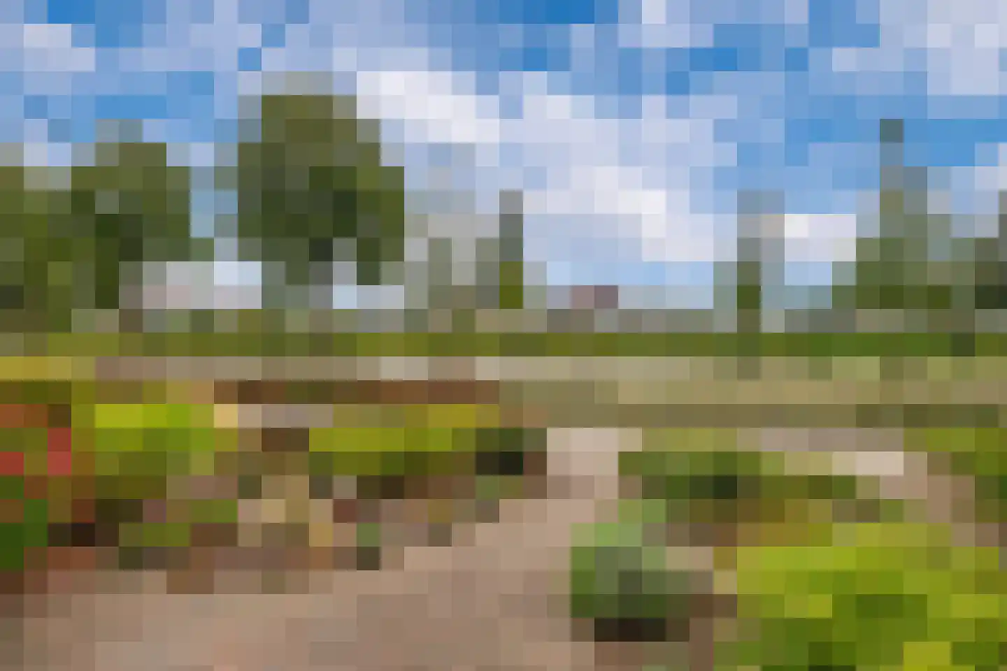 Rottenburgseweg 170 Middelharnis thumbnail 8