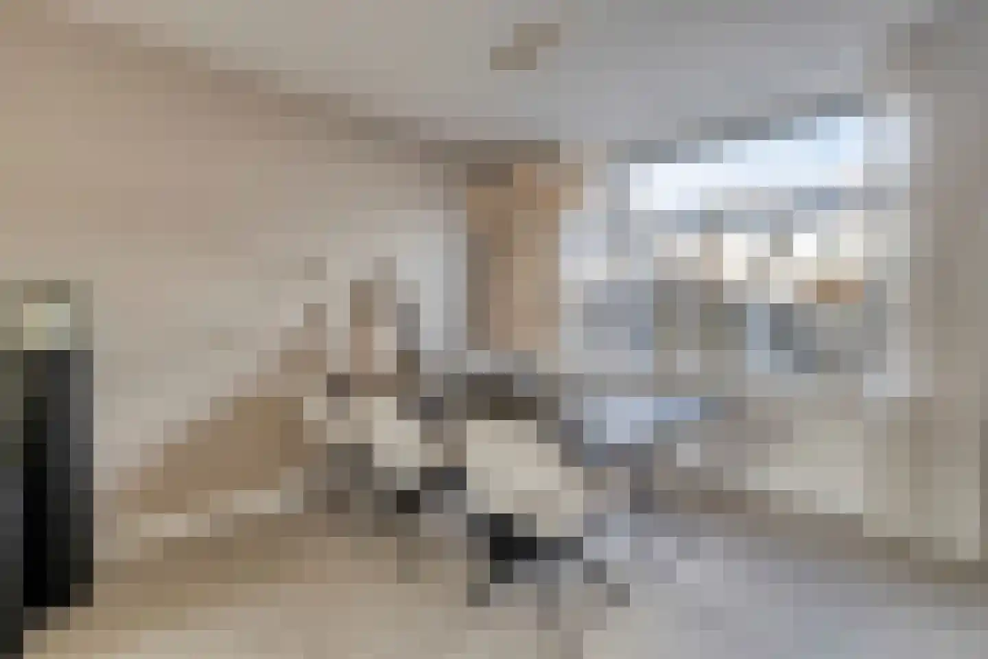 Rottenburgseweg 200 Middelharnis thumbnail 14