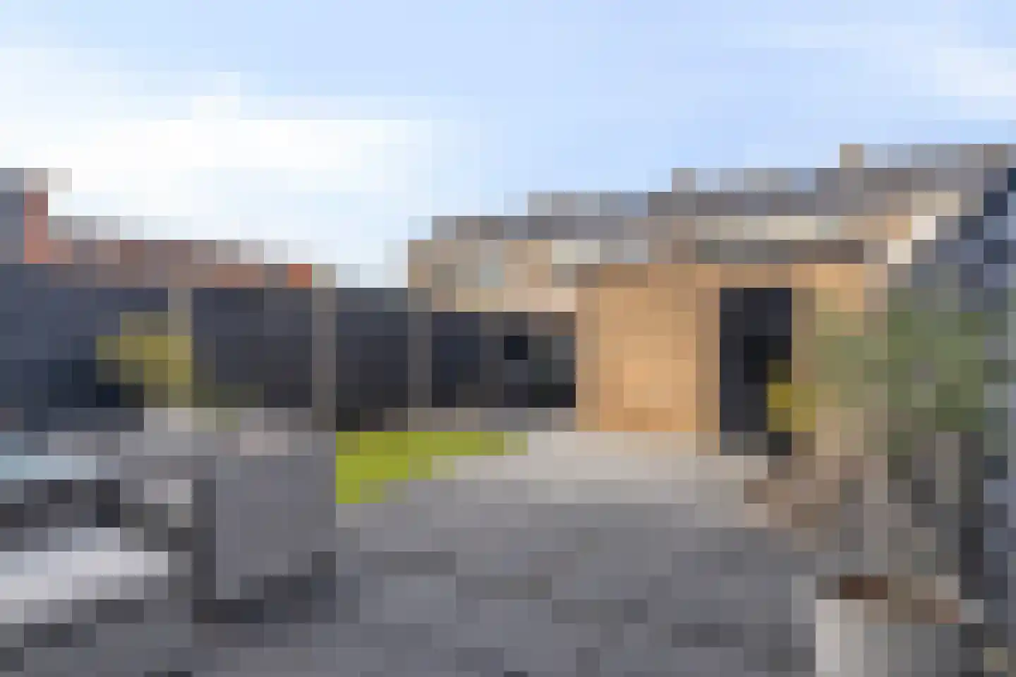 Rottenburgseweg 200 Middelharnis thumbnail 29