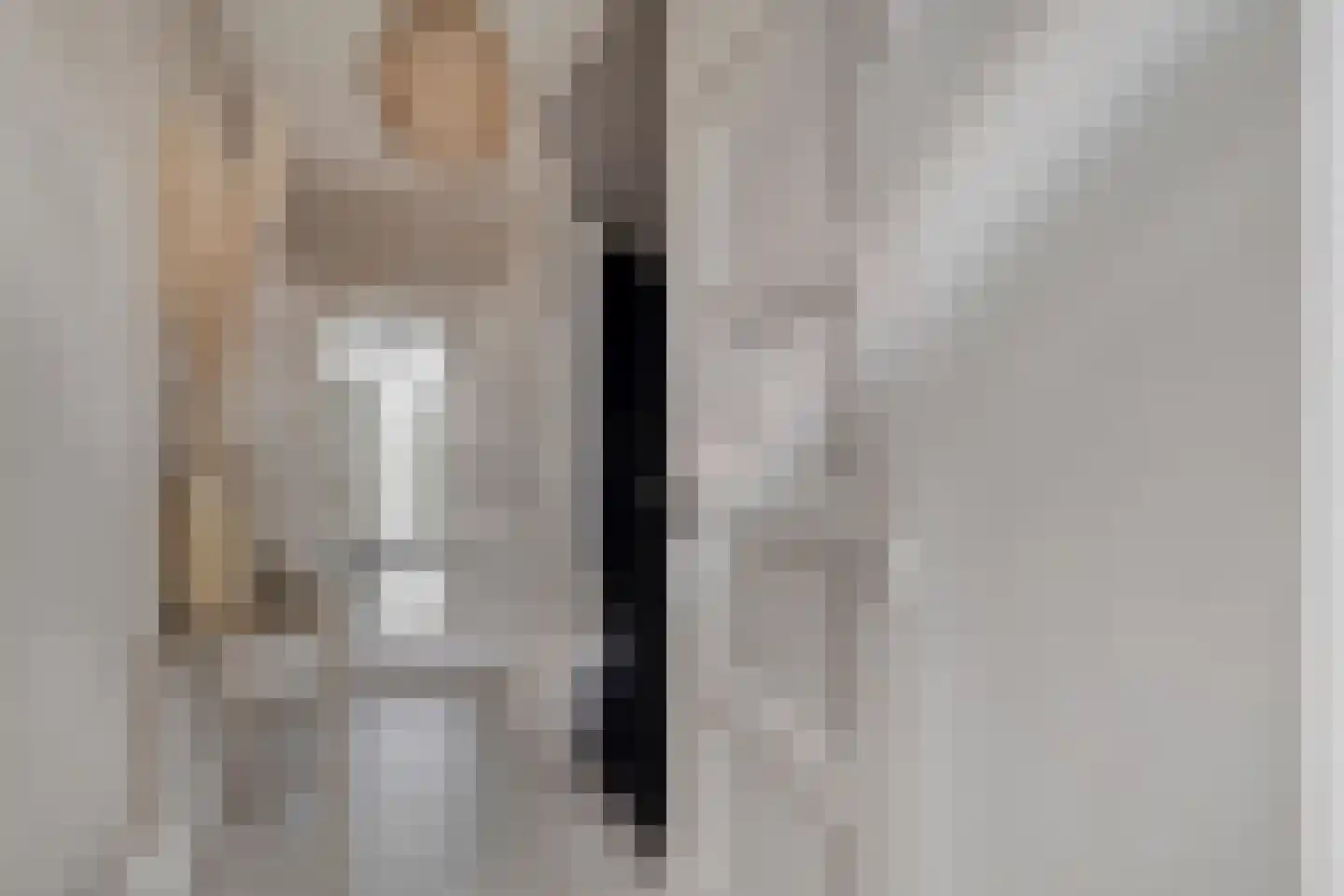 Rottenburgseweg 200 Middelharnis thumbnail 7