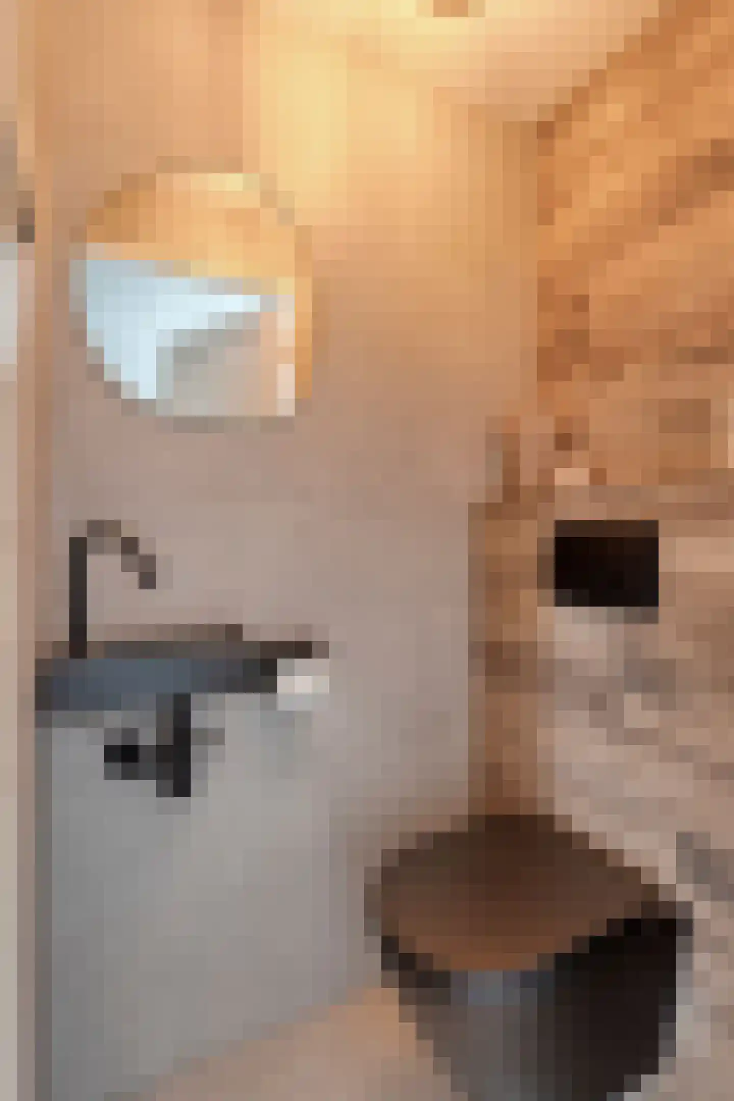 Rottenburgseweg 200 Middelharnis thumbnail 9