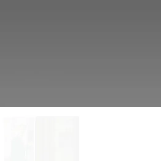 Screenshot van de website van www.rotterdamrentalservice.com