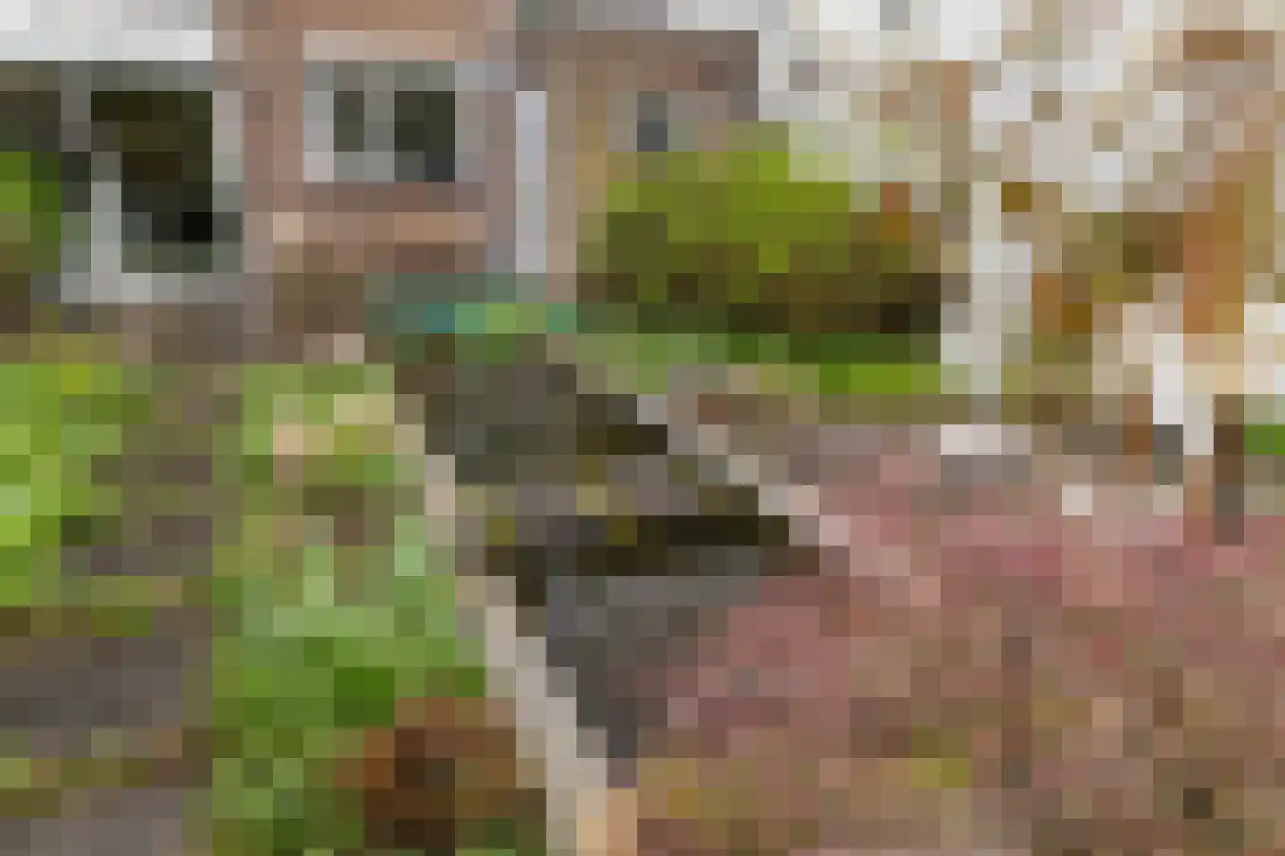 Rotterdamse Rijweg 103 Rotterdam thumbnail 31