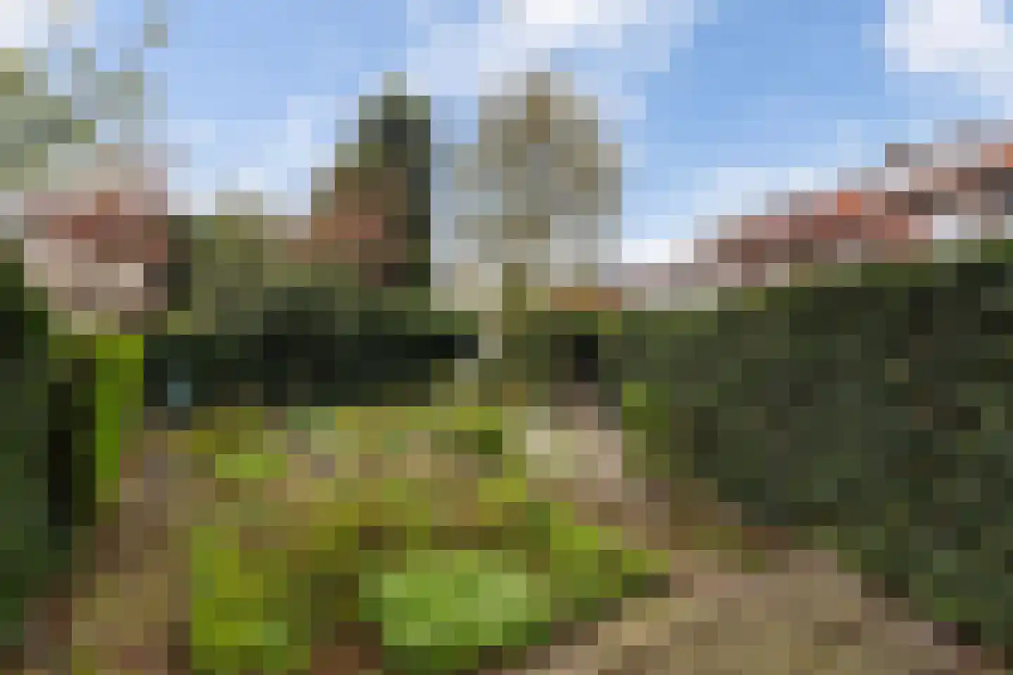 Rotterdamse Rijweg 103 Rotterdam thumbnail 36