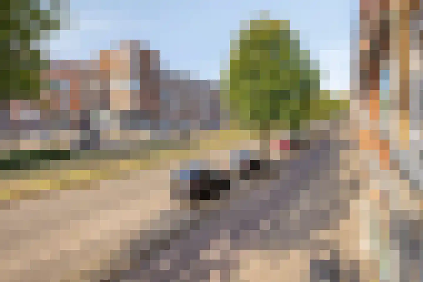 Rotterdamsedijk 170 A 1 Schiedam thumbnail 23