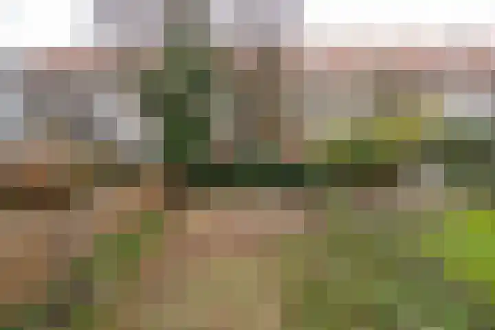 Rotterdamsedijk 20 C Schiedam thumbnail 17