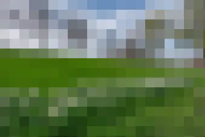 Rotterdamsedijk 20 C Schiedam thumbnail 22