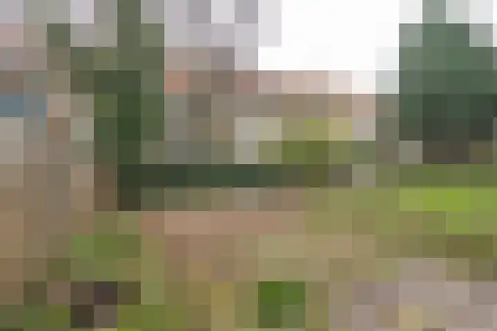 Rotterdamsedijk 20 C Schiedam thumbnail 5