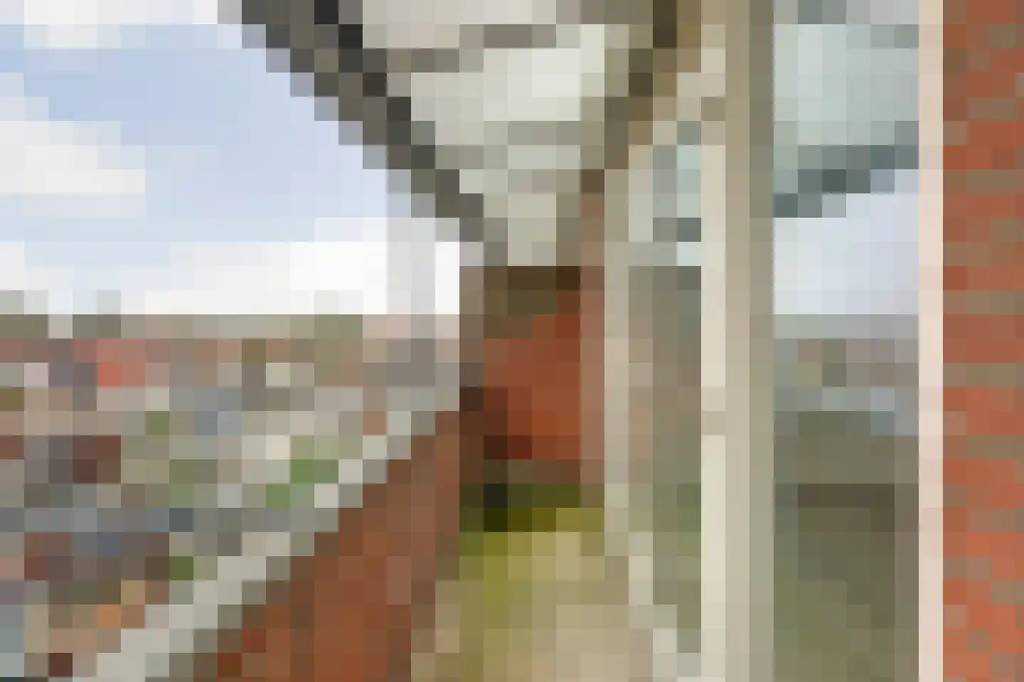 Rotterdamsedijk 204 B Schiedam thumbnail 20