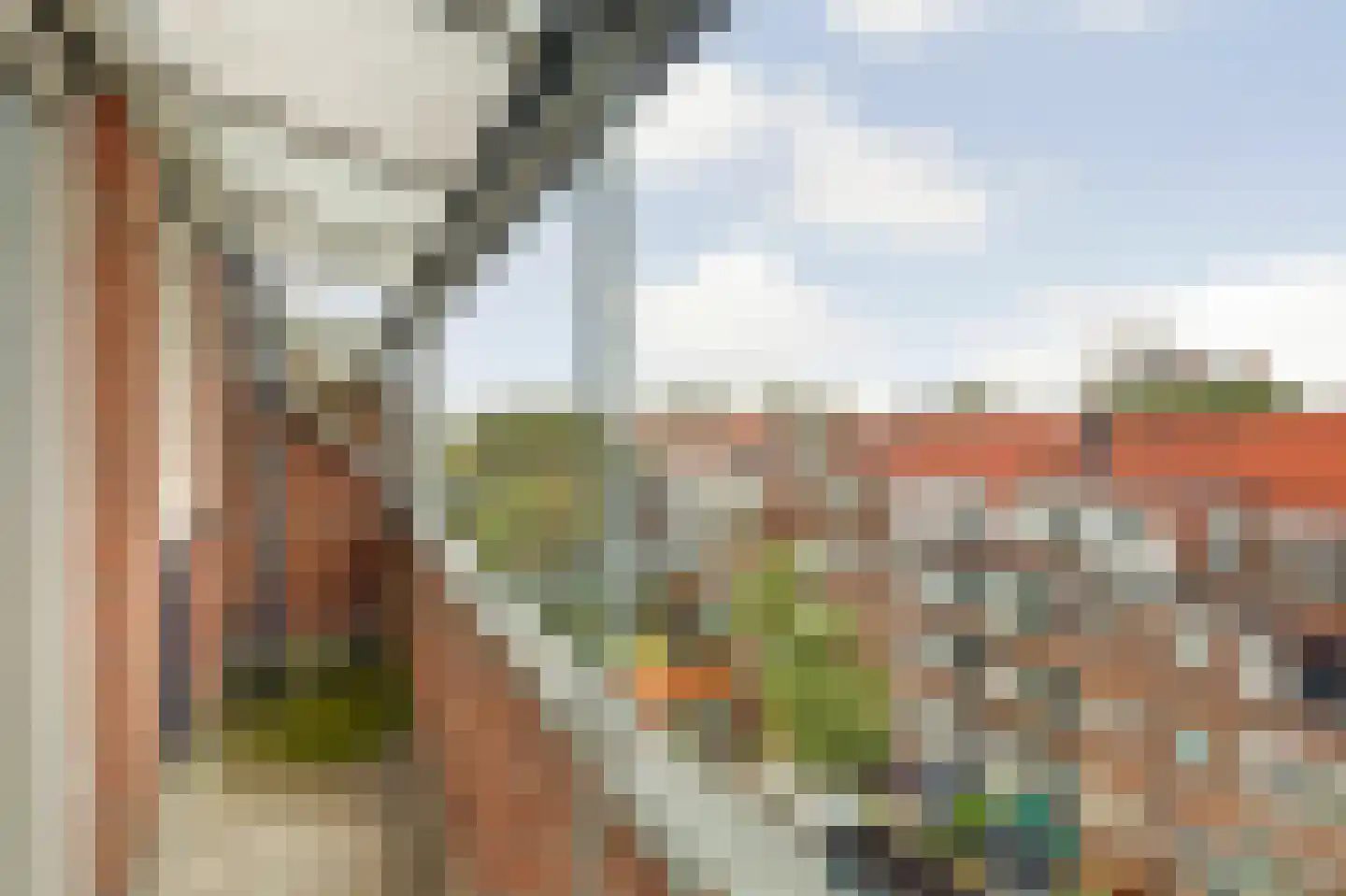 Rotterdamsedijk 204 B Schiedam thumbnail 21