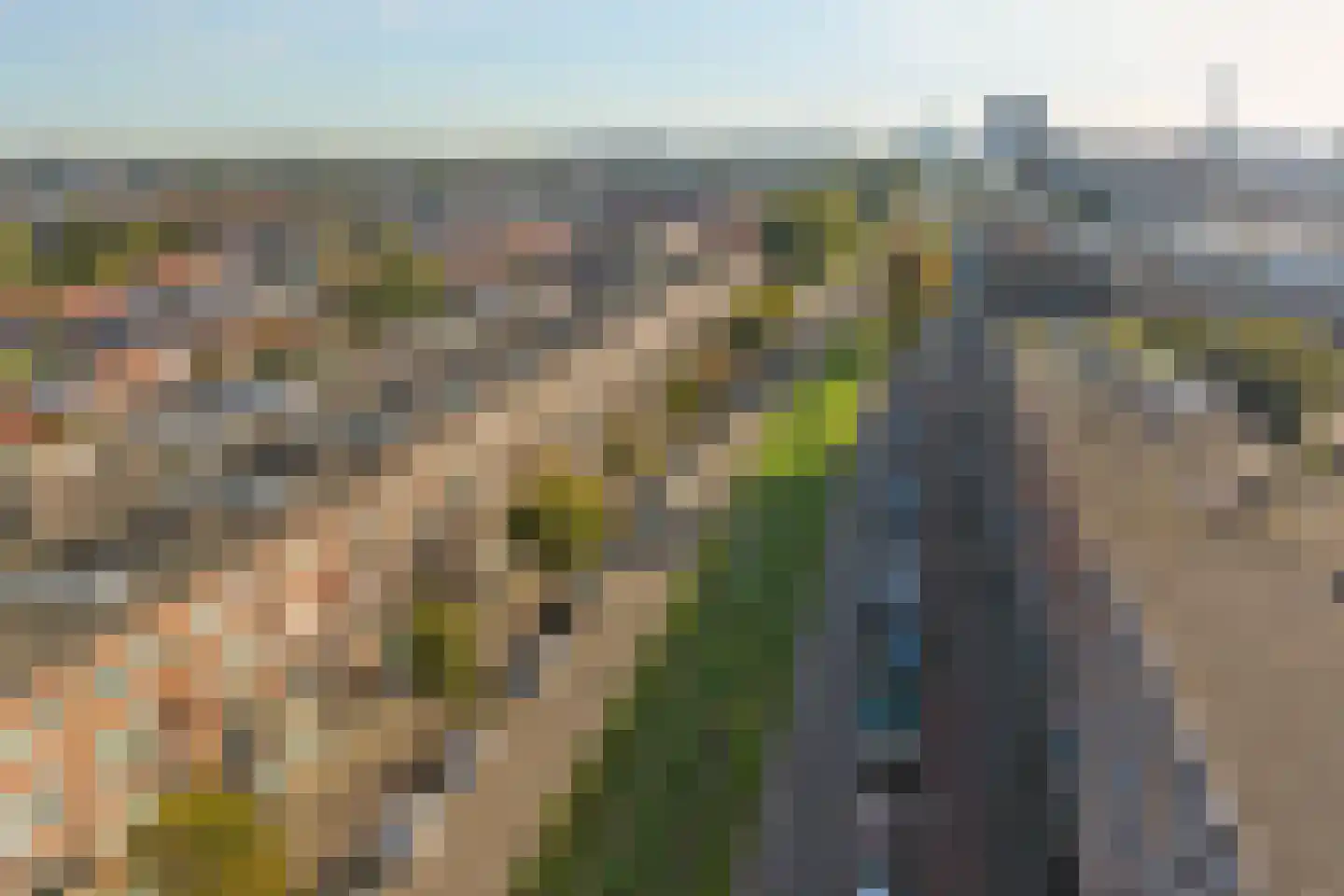 Rotterdamsedijk 204 B Schiedam thumbnail 33