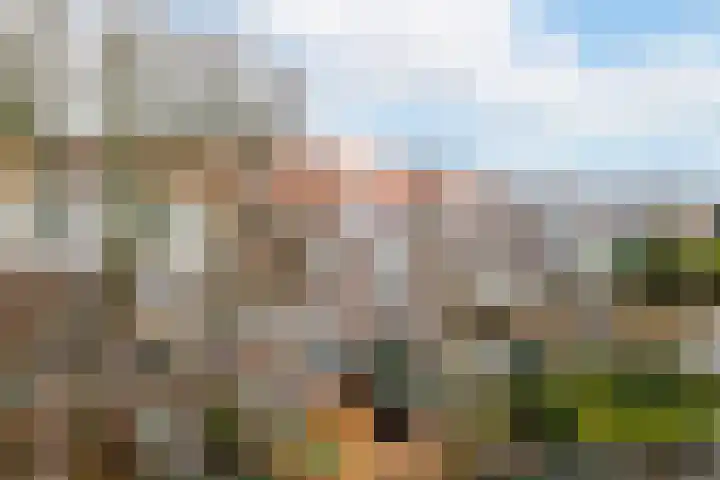Rotterdamsedijk 222 C Schiedam thumbnail 16