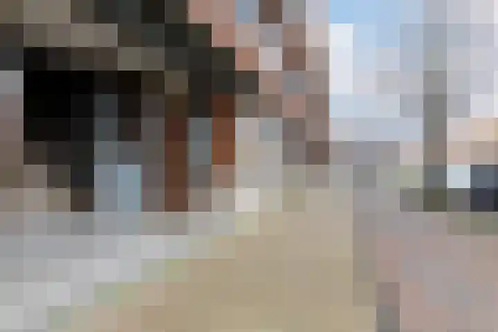 Rotterdamsedijk 222 C Schiedam thumbnail 5