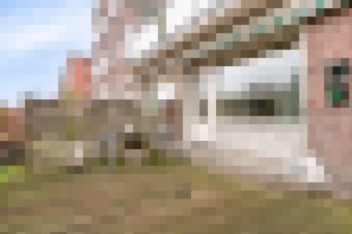 Rotterdamsedijk 227 A Schiedam thumbnail 15