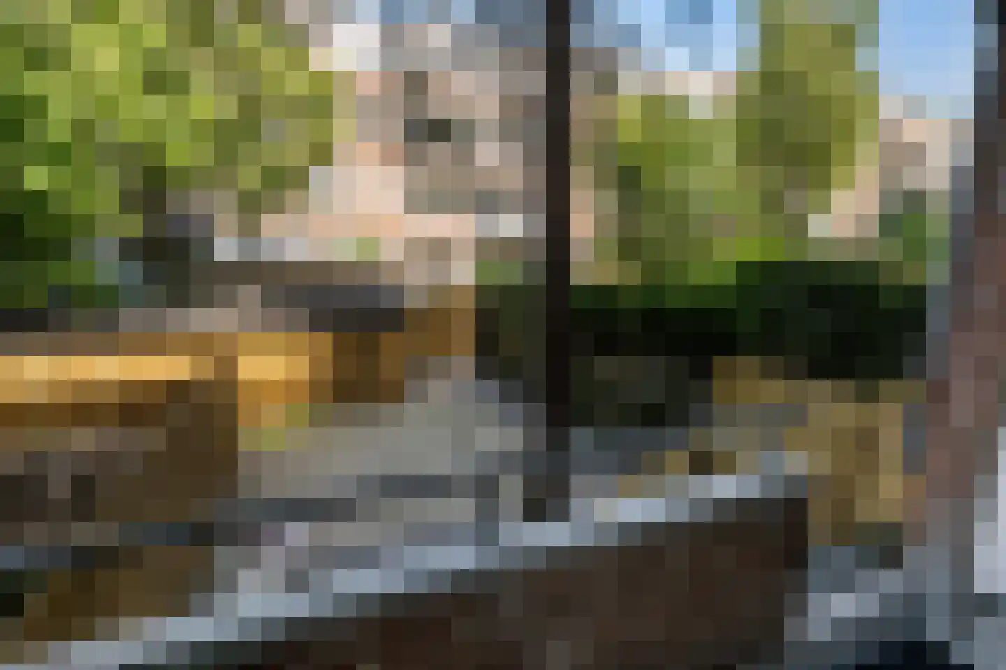 Rotterdamsedijk 234 C Schiedam thumbnail 15