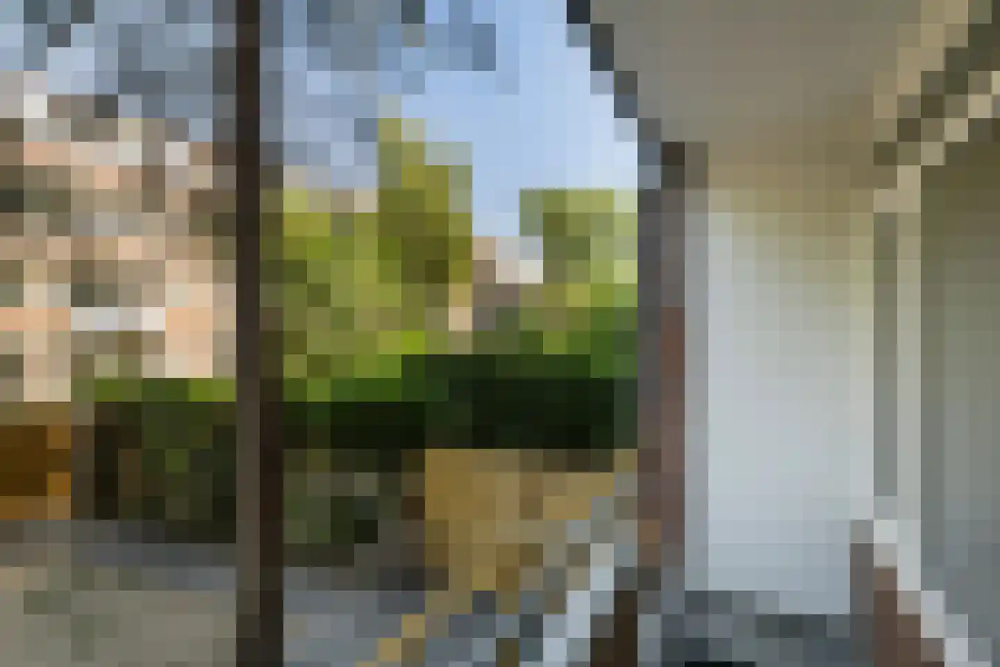 Rotterdamsedijk 234 C Schiedam thumbnail 16