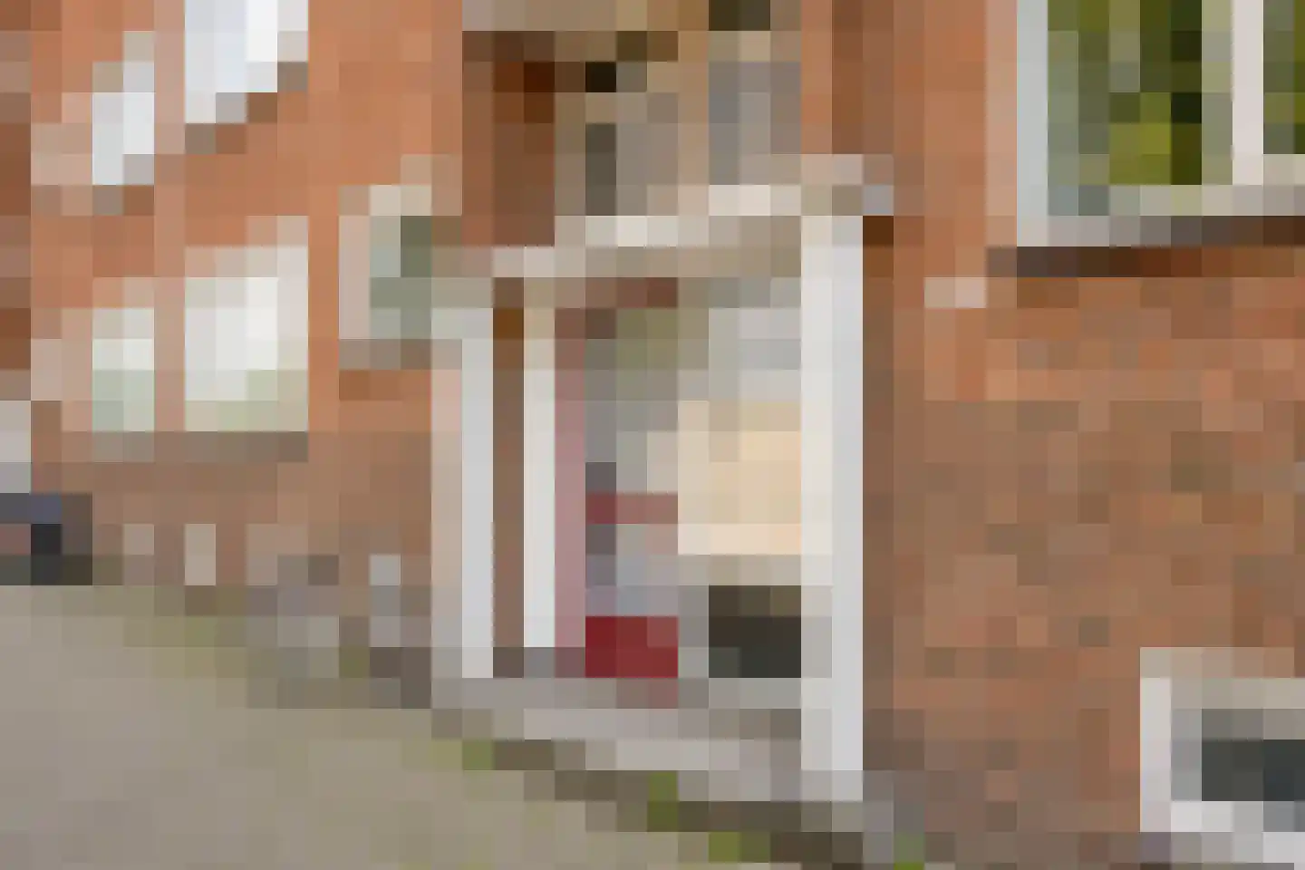 Rotterdamsedijk 241 B Schiedam thumbnail 6