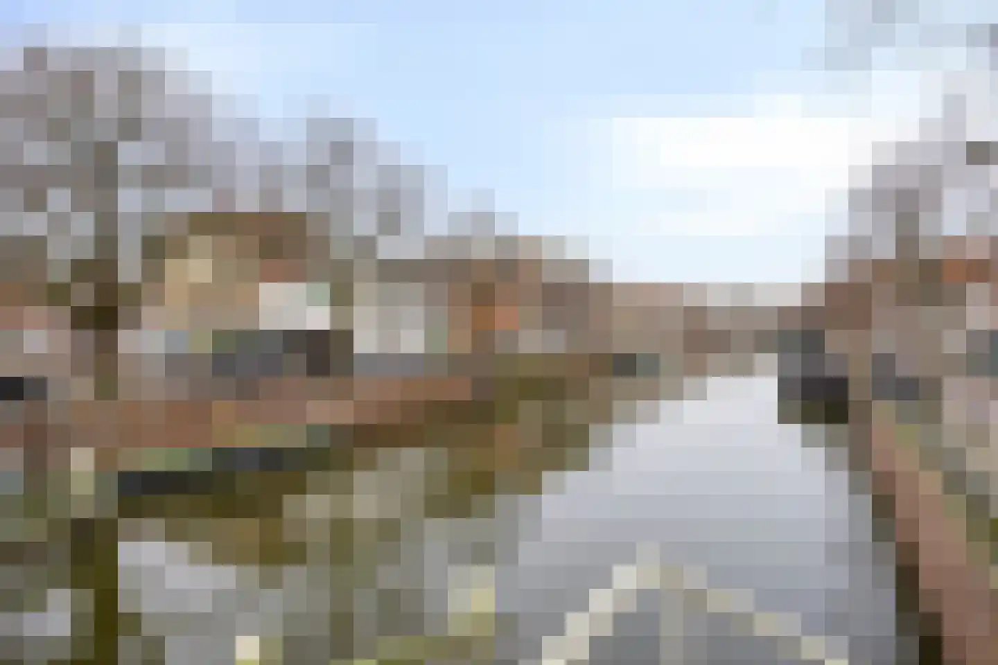 Rotterdamsedijk 252 B Schiedam thumbnail 31