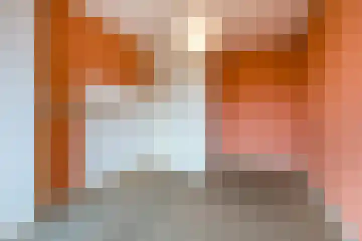 Rotterdamsedijk 254 C Schiedam thumbnail 11