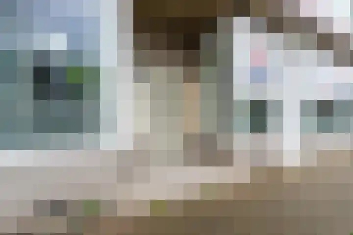 Rotterdamsedijk 254 C Schiedam thumbnail 20
