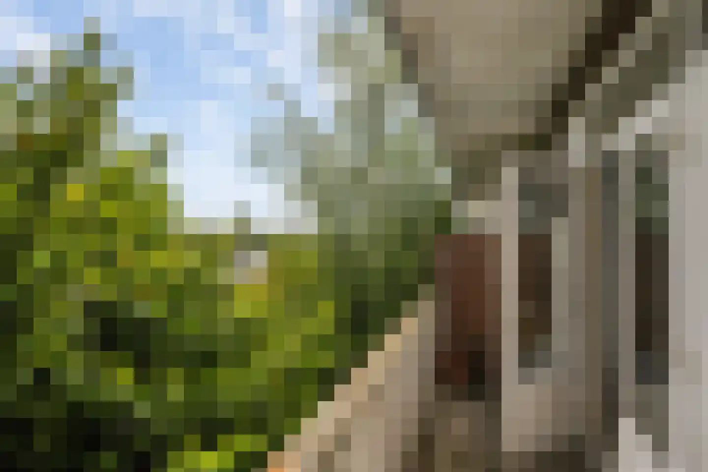Rotterdamsedijk 261 B Schiedam thumbnail 24