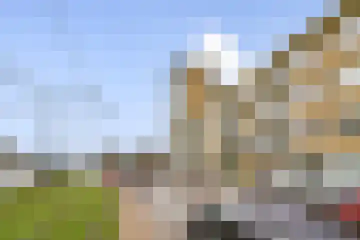 Rotterdamsedijk 266 B Schiedam thumbnail 15