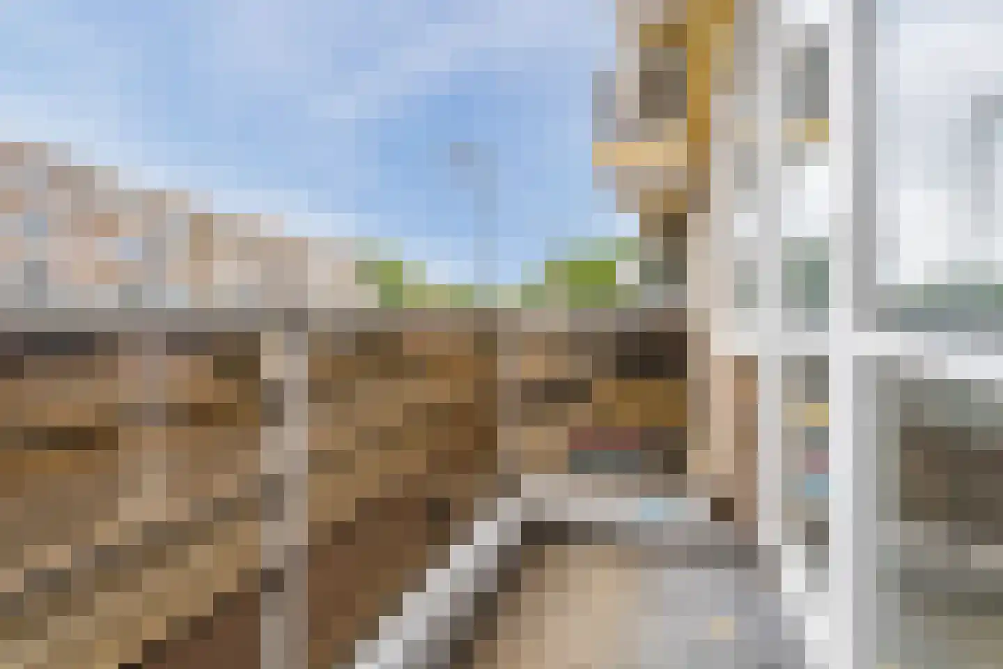 Rotterdamsedijk 266 B Schiedam thumbnail 48
