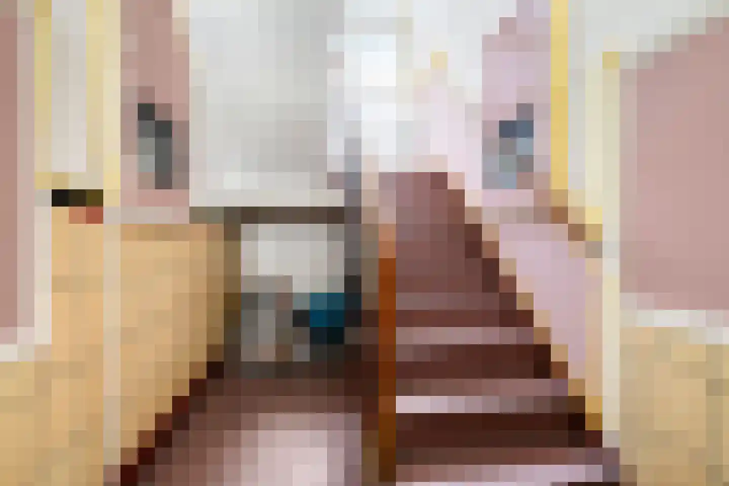 Rotterdamsedijk 270 B Schiedam thumbnail 5