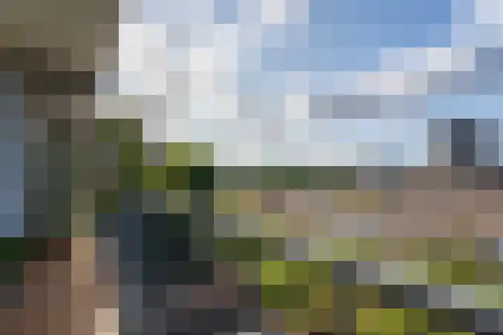 Rotterdamsedijk 273 A 2 Schiedam thumbnail 16