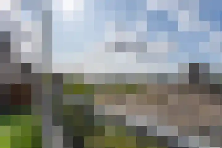 Rotterdamsedijk 273 A 2 Schiedam thumbnail 37