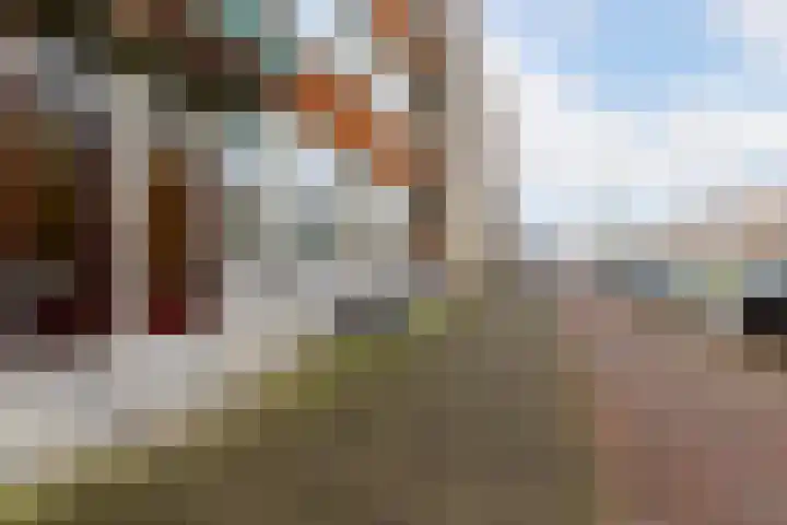 Rotterdamsedijk 285 A 2 Schiedam thumbnail 40