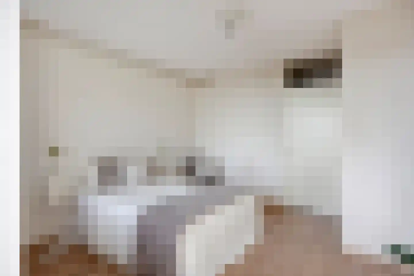 Rotterdamsedijk 305 C Schiedam thumbnail 10