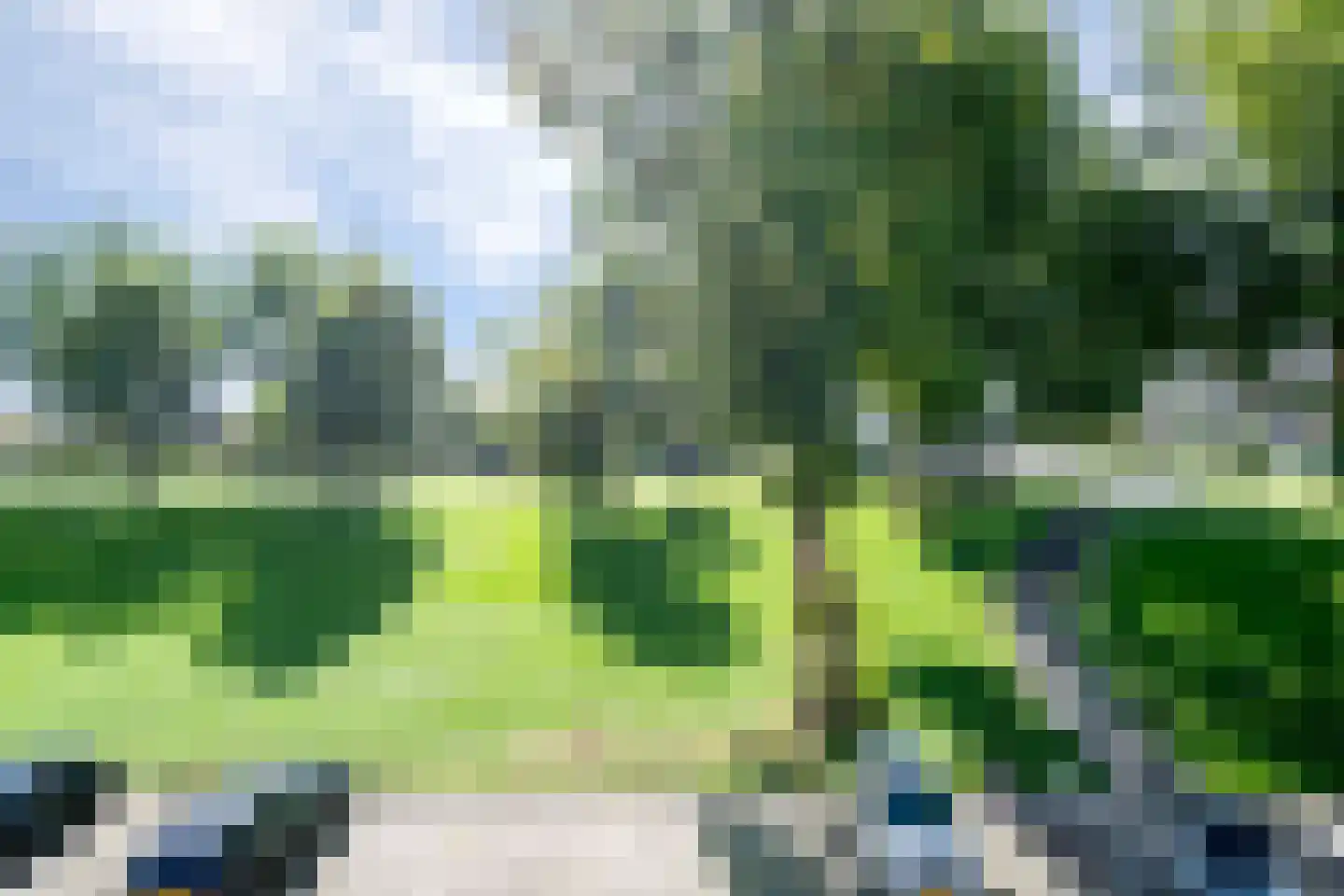 Rotterdamsedijk 34 2 Schiedam thumbnail 8