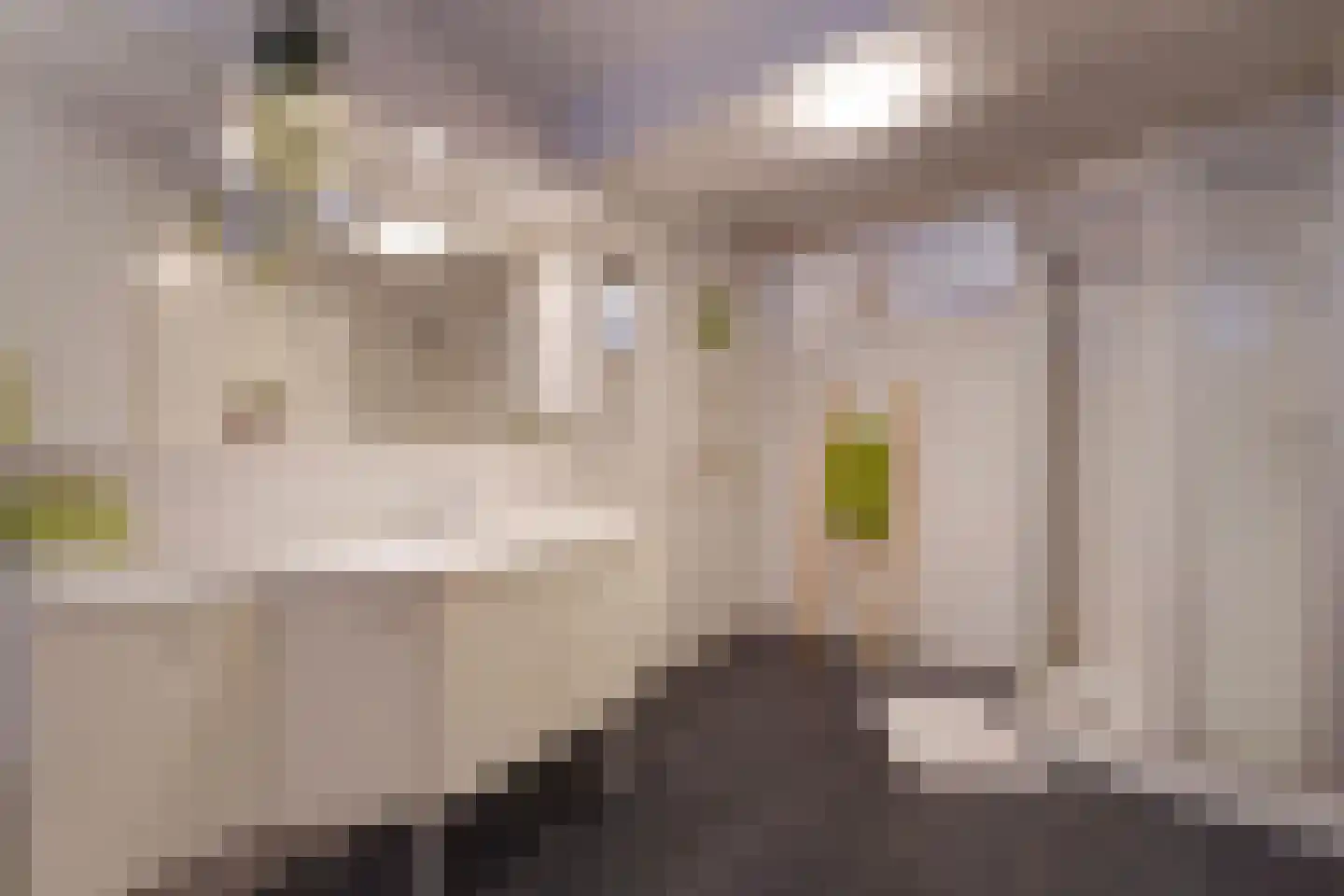 Rotterdamsedijk 415 B Schiedam thumbnail 4