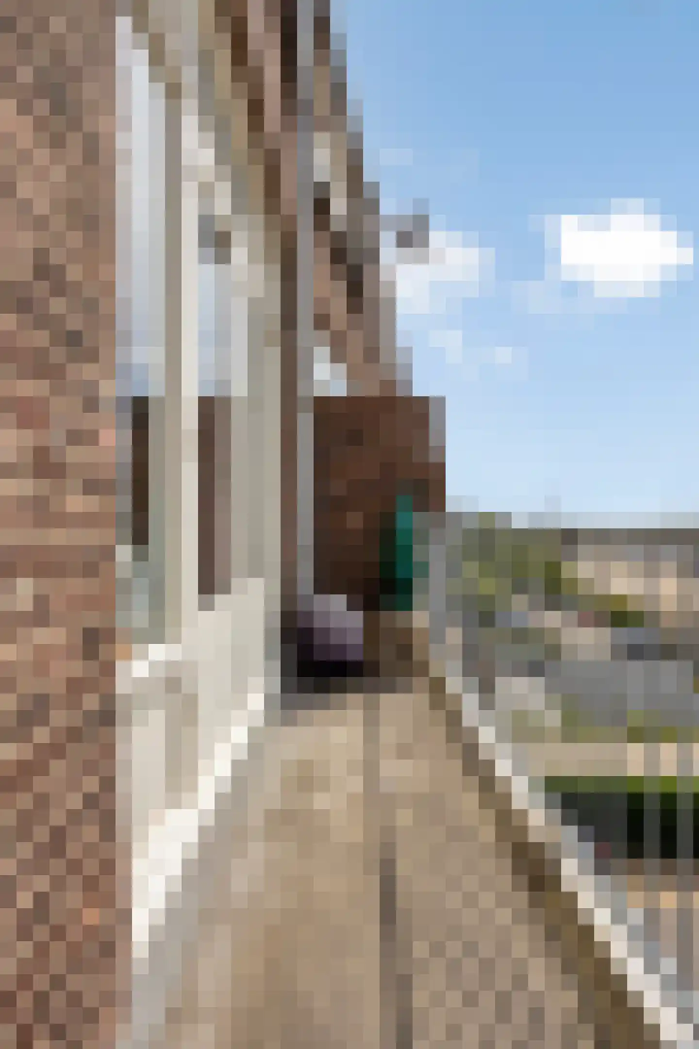 Rotterdamsedijk 417 B 1 Schiedam thumbnail 27