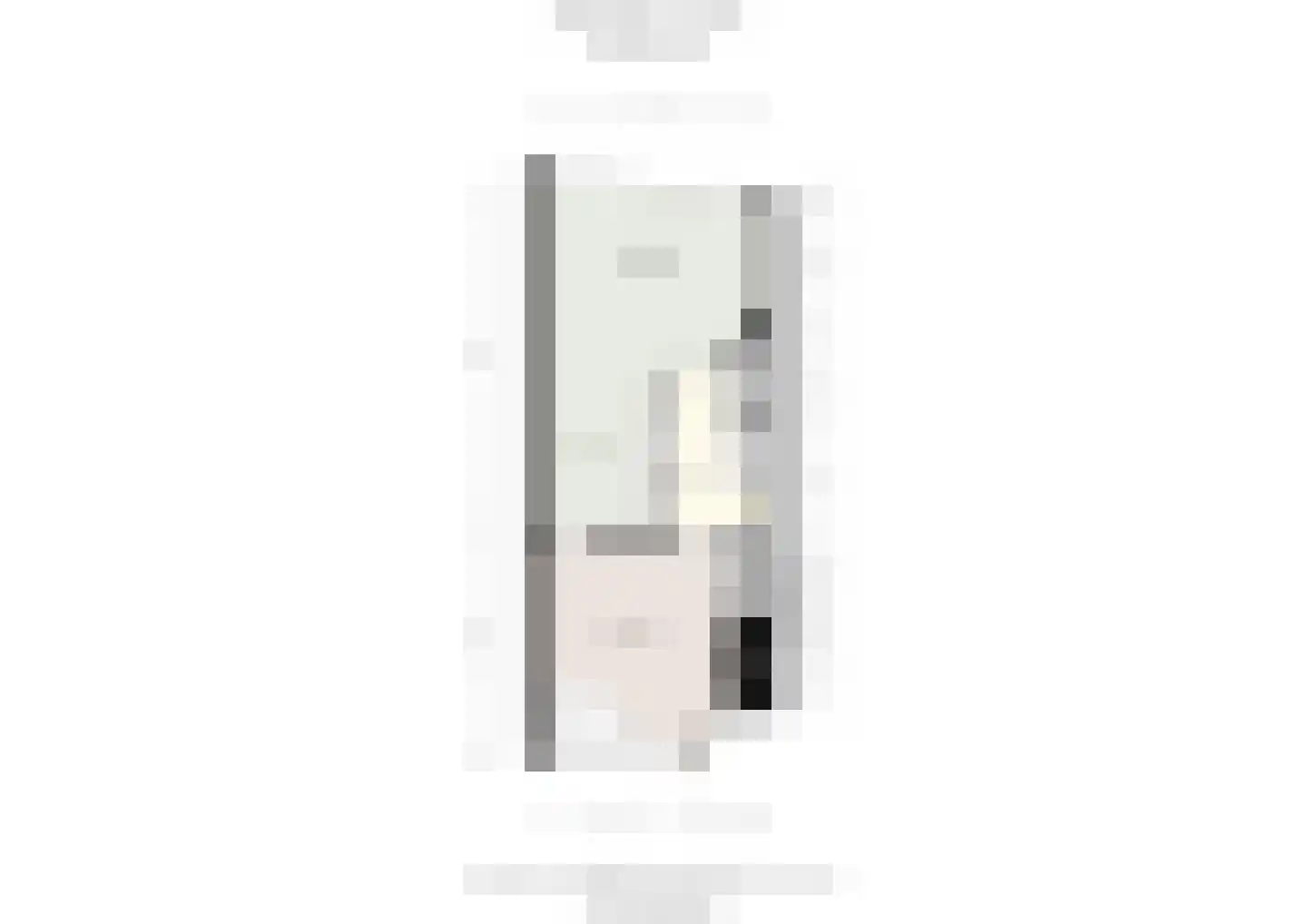 Rotterdamsedijk 417 B 1 Schiedam thumbnail 33