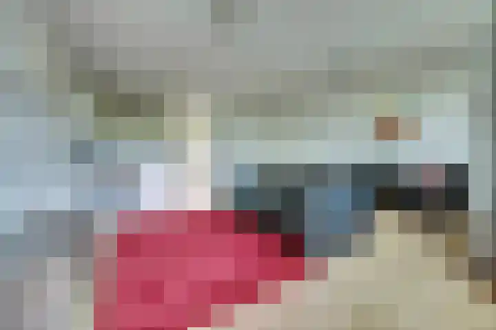 Rotterdamsedijk 439 B 2 Schiedam thumbnail 4