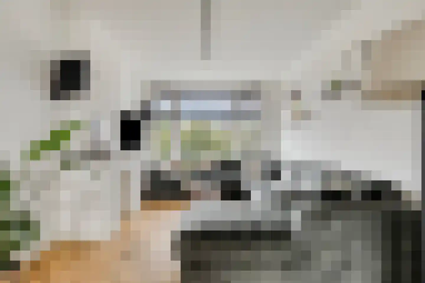 Rotterdamsedijk 445 A 2 Schiedam thumbnail 10