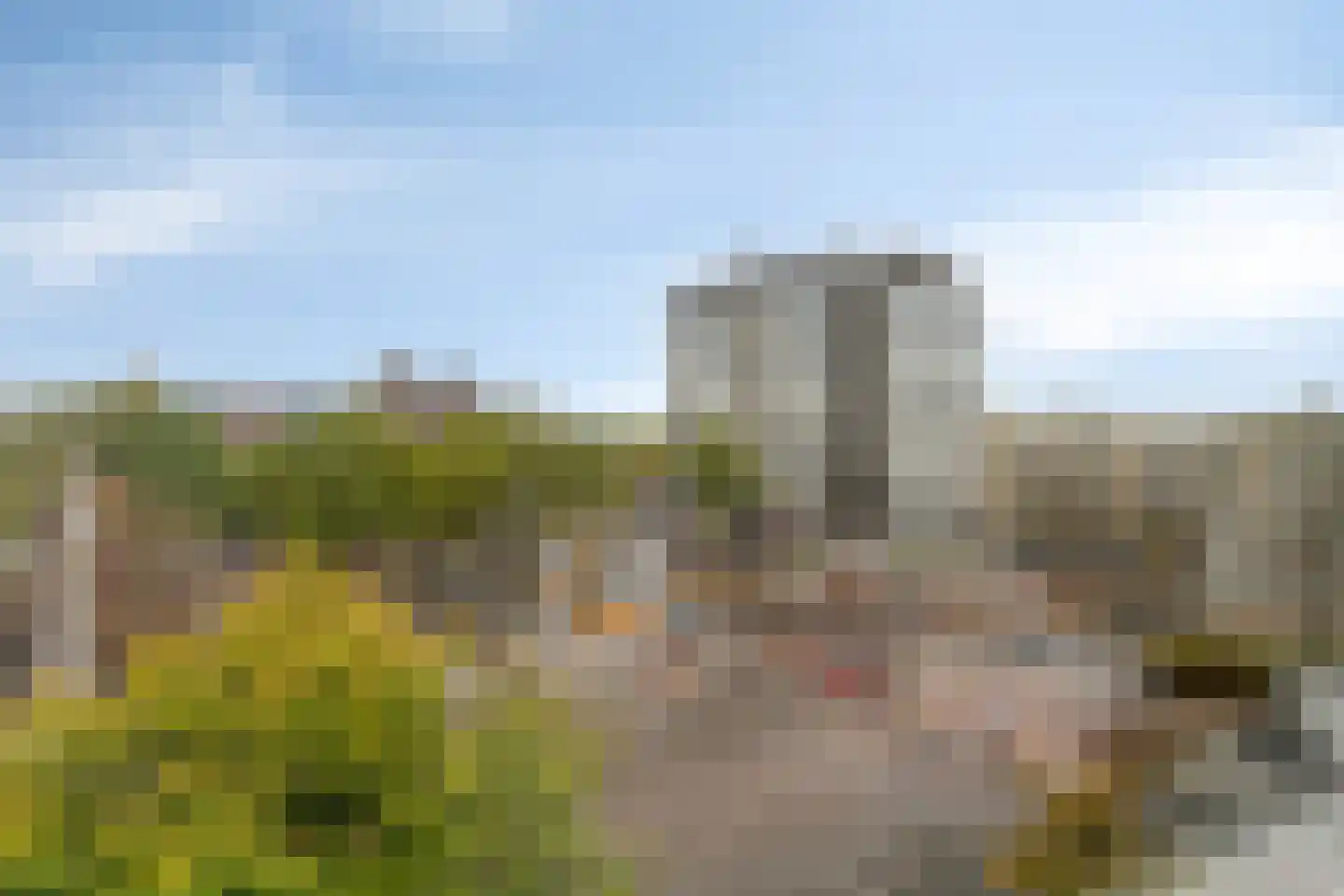 Rotterdamsedijk 445 A 2 Schiedam thumbnail 32