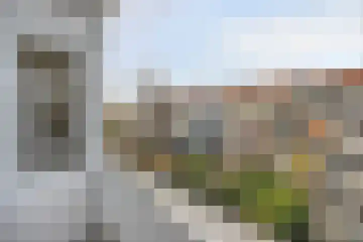 Rotterdamsedijk 90 B 1 Schiedam thumbnail 7