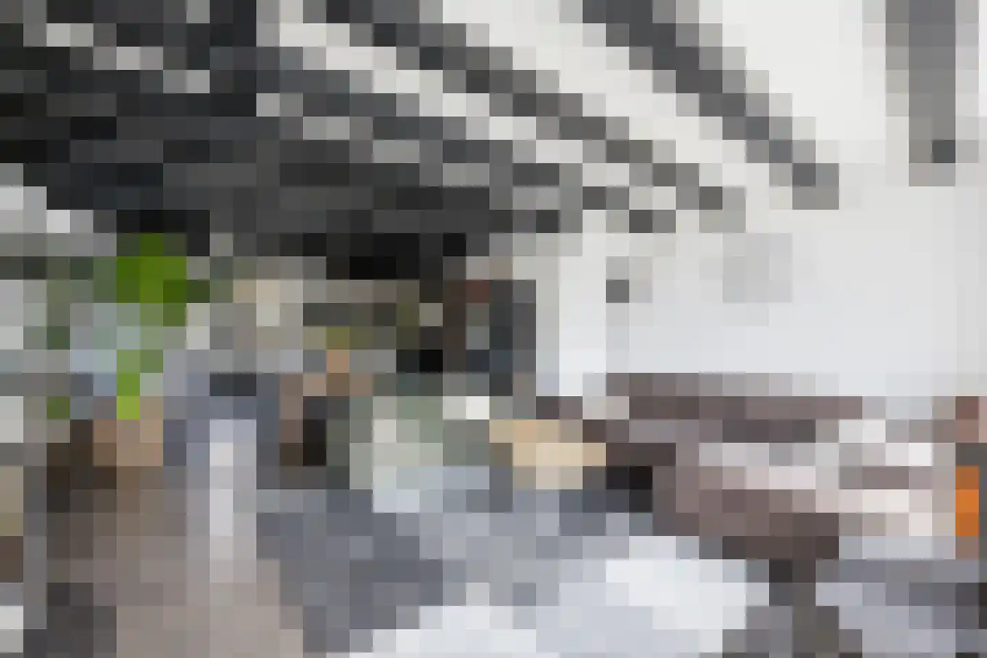 Rotterdamsekaai 11 Middelburg thumbnail 10
