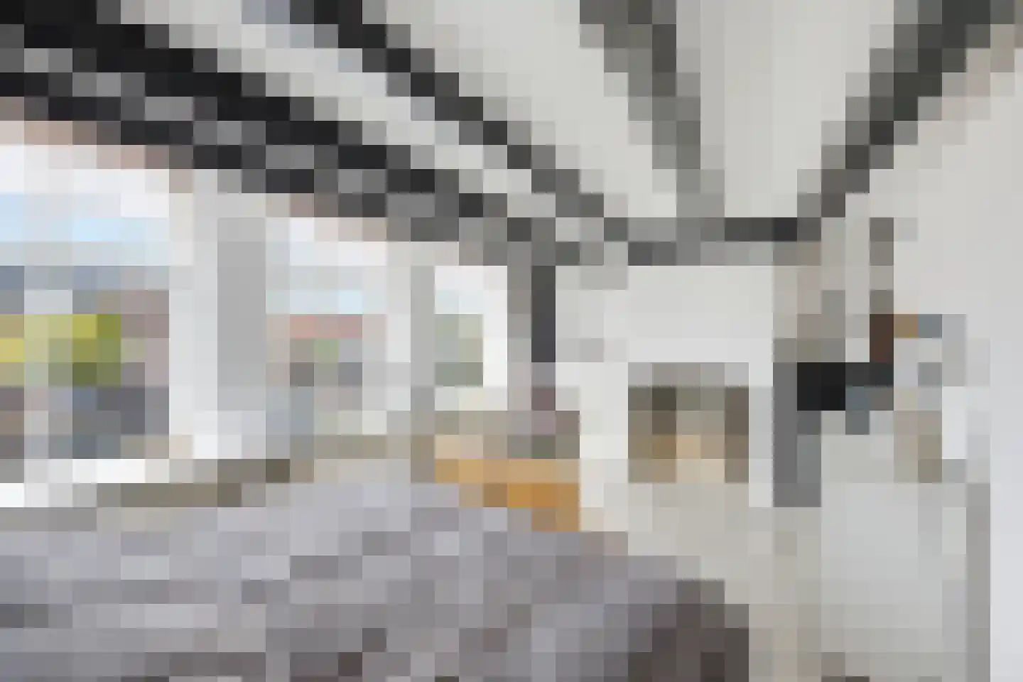 Rotterdamsekaai 11 Middelburg thumbnail 16