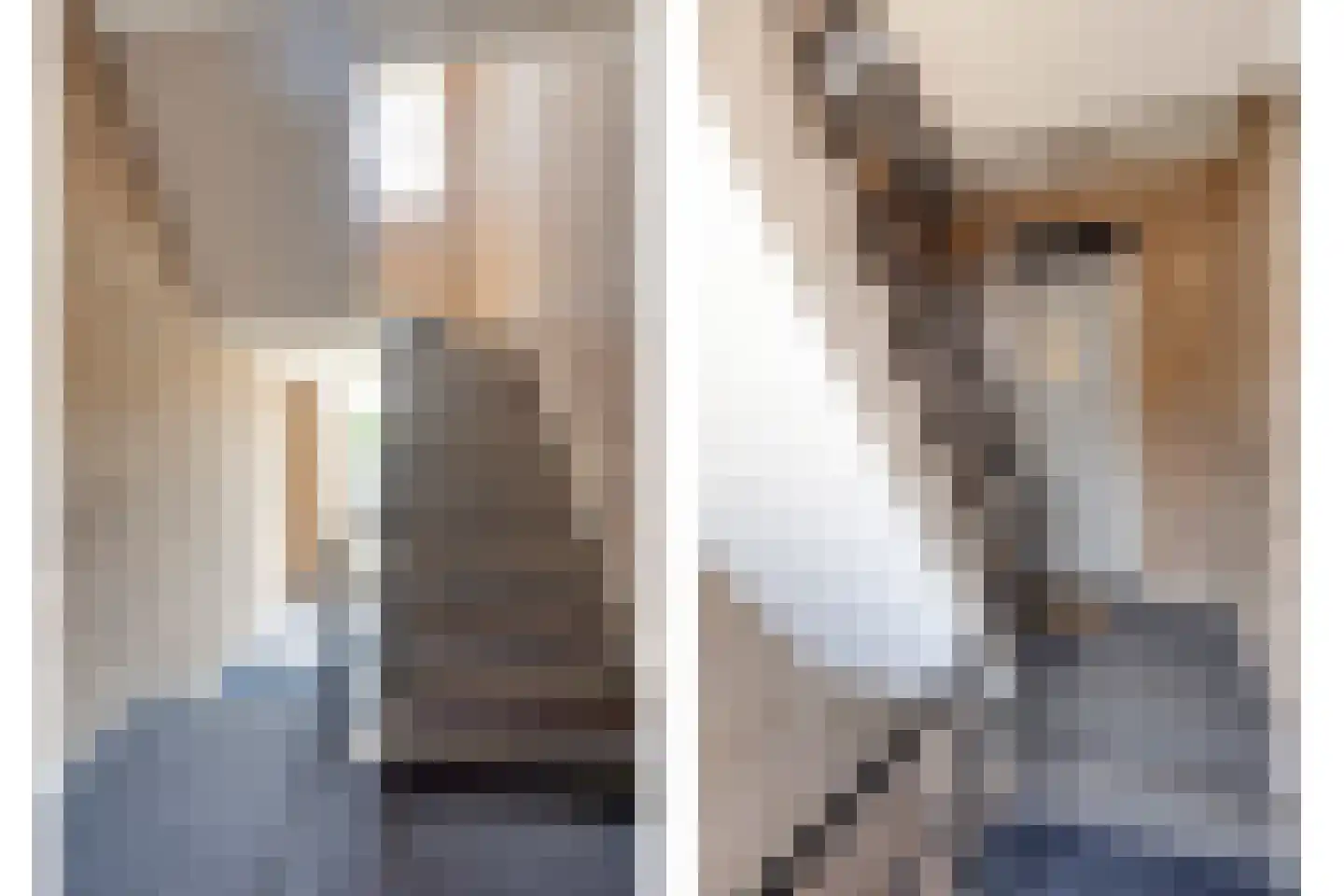 Rotterdamsekaai 17 Middelburg thumbnail 4