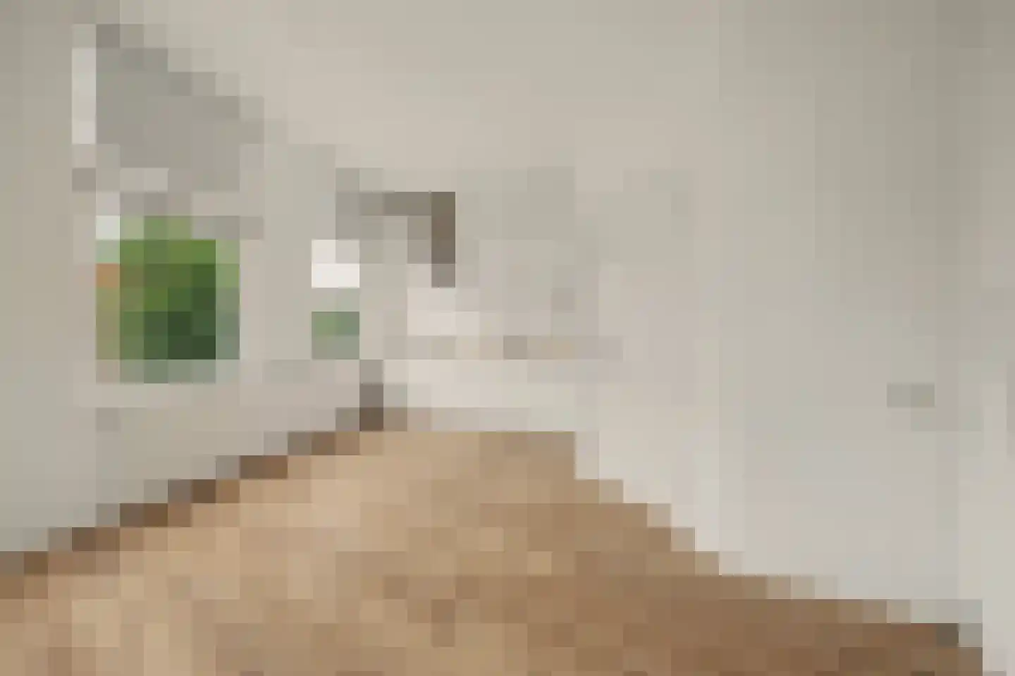 Rotterdamsekaai 5 Middelburg thumbnail 15