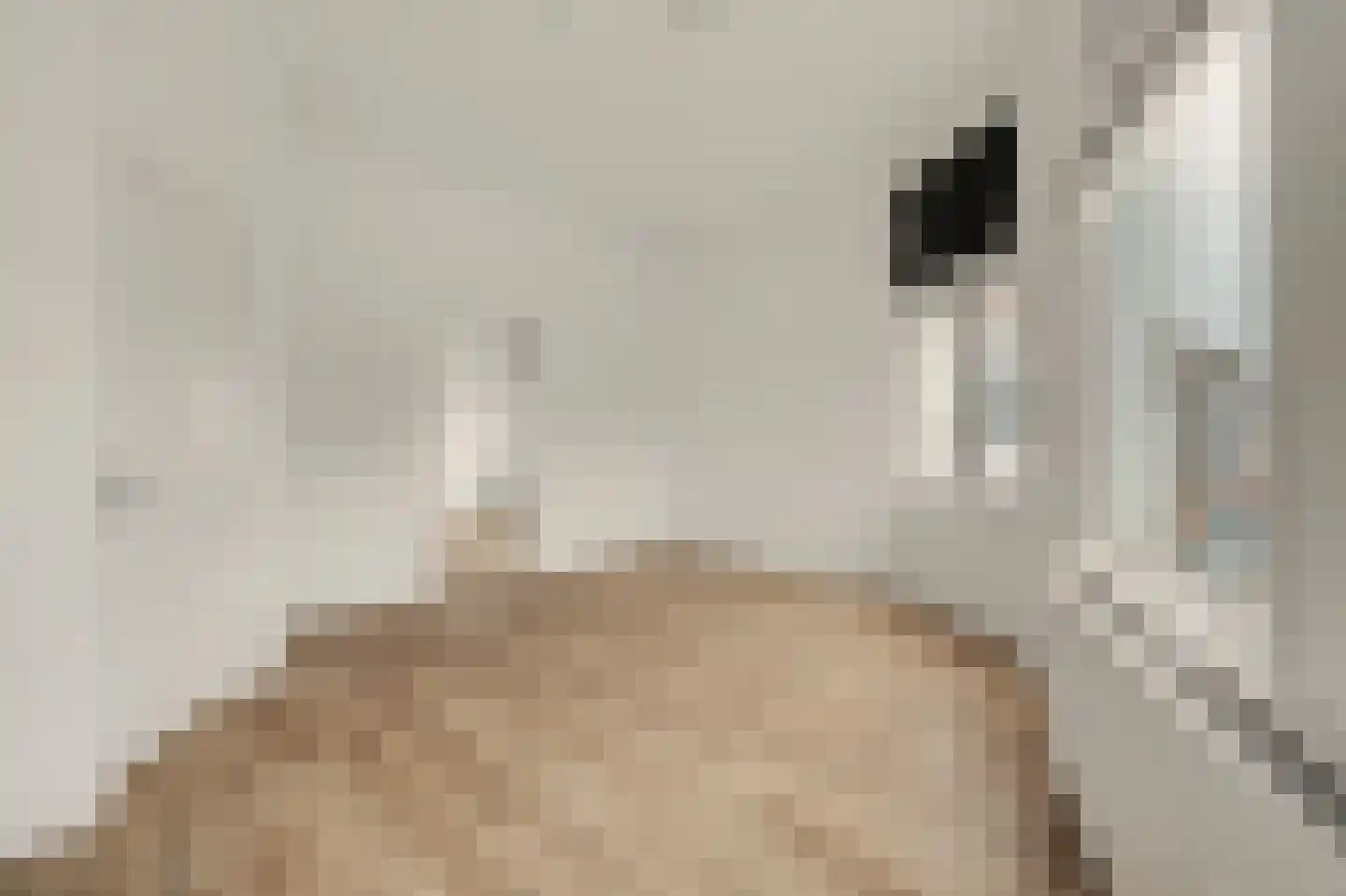 Rotterdamsekaai 5 Middelburg thumbnail 16
