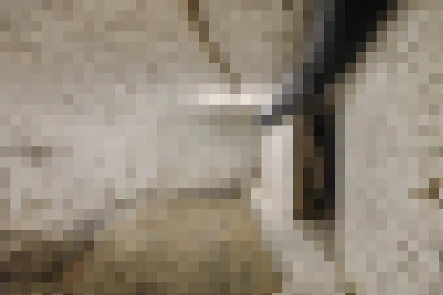 Rotterdamsekaai 5 Middelburg thumbnail 31