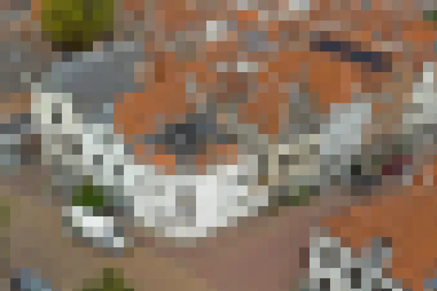Rotterdamsekaai 5 Middelburg thumbnail 36